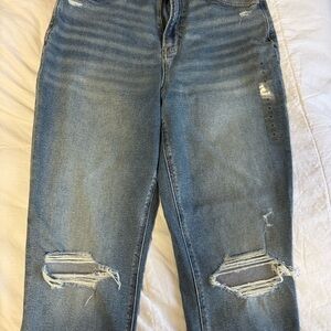 American Eagle Outfitters Ripped Blue Skinny Jeans